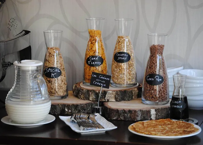 酒店 普莱西斯大酒店 勒普莱西-罗班松