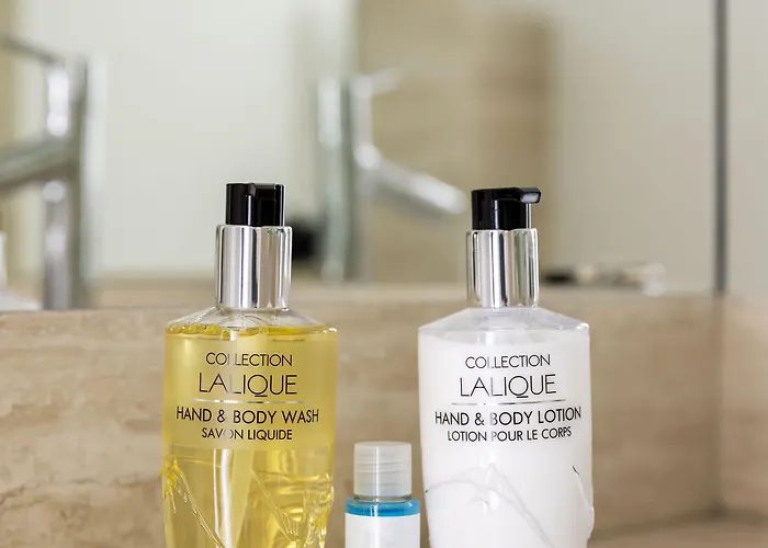 普莱西斯大酒店 4* 勒普莱西-罗班松